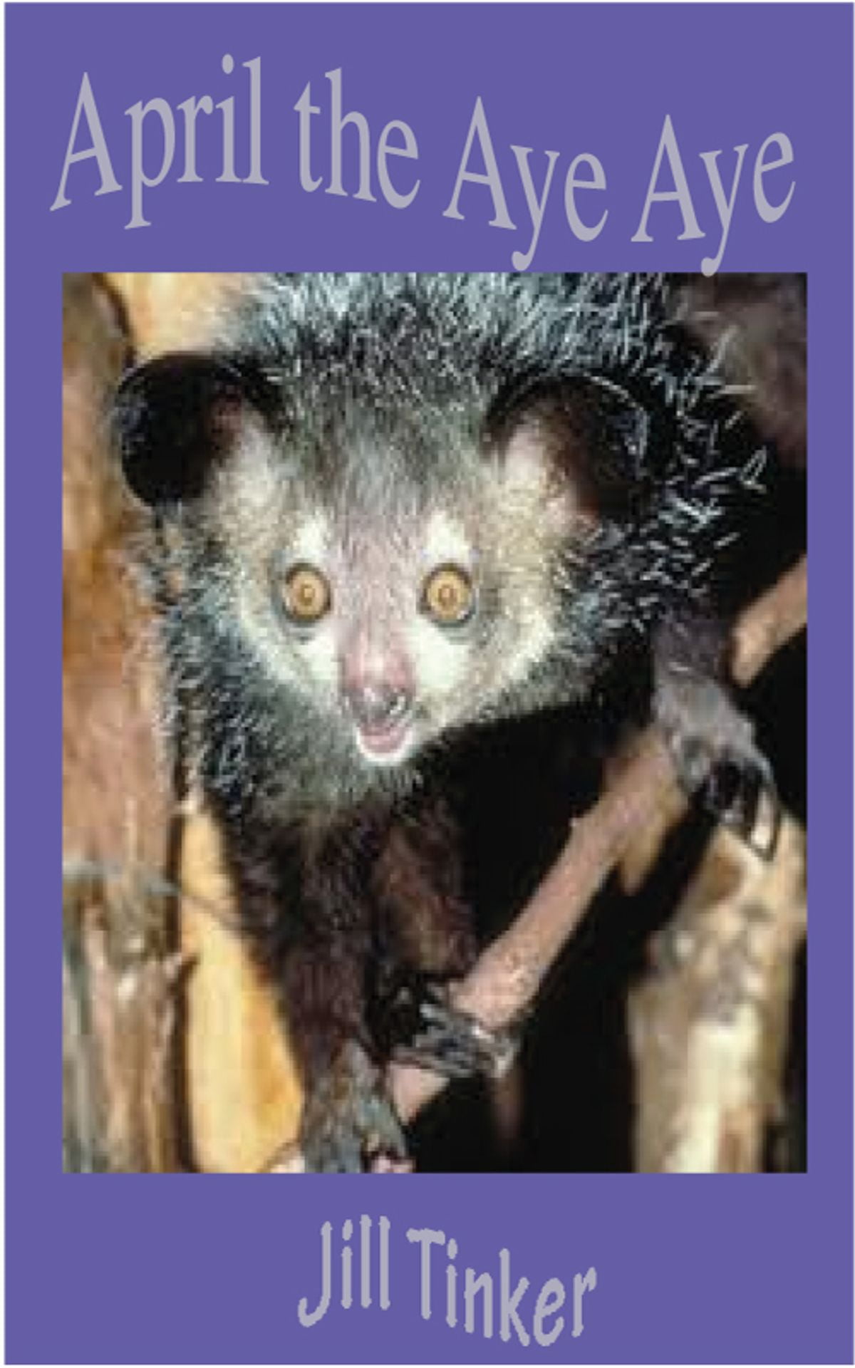 April the aye aye